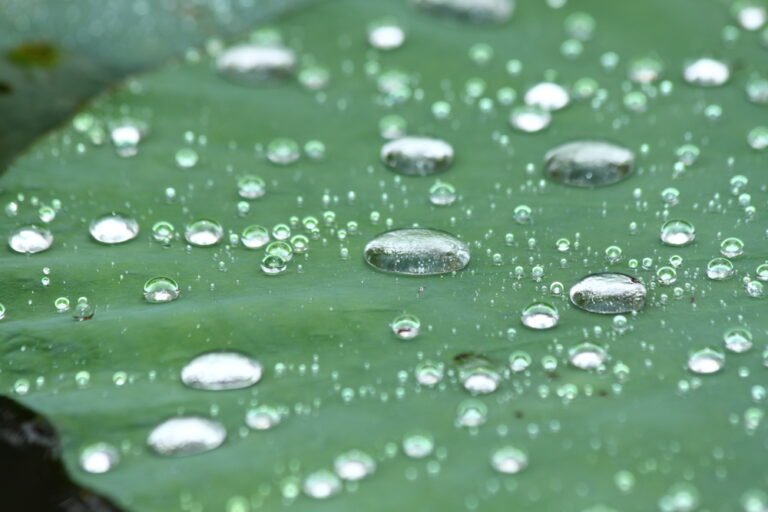 Why Beauty? (The Origins of Beauty Paper)